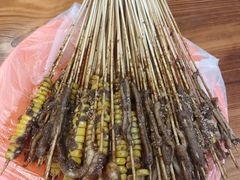 -十里铺铁板鱿鱼