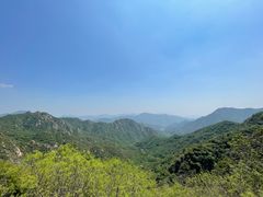 -大岭沟猕猴桃谷风景区
