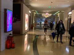 -上海波特曼丽思卡尔顿酒店