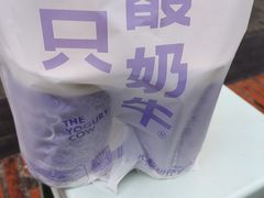 -一只酸奶牛(奎星楼店)