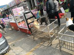 -中环花鸟鱼虫市场