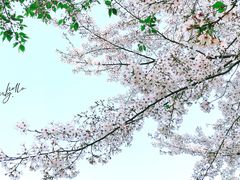 -白塘生态植物园