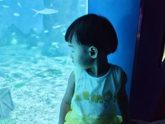 -北戴河圣蓝海洋公园