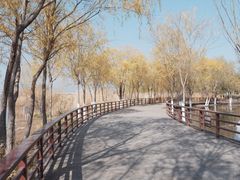 -绿堤公园