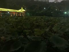 -龙头寺公园