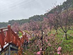 -小南山公园