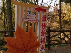 -广州市石门国家森林公园