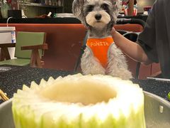 -得意咚瓜·顺德鱼生·冬瓜火锅(深圳首店)