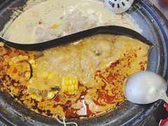 -生活如沸·顺德水牛奶火锅(大学路店)