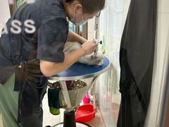 -瑞鹏·疫苗·绝育·宠物医院(广九店)