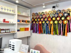 -青奢宠物·青奢猫舍