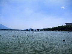 -天平湖公园