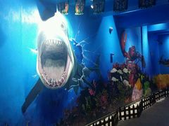 -船奇蒸汽海鲜·闽菜(八市海鲜总店)