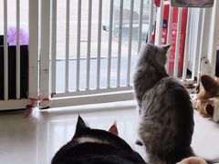 -平行世界·猫咖(首经贸店)