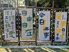 -同里湖度假村(二期店)