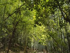 -敬亭山风景名胜区