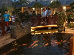 -顺德了能馆(虎门店)