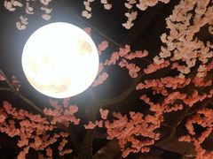 -蓝鲸湾汤泉(包河店)