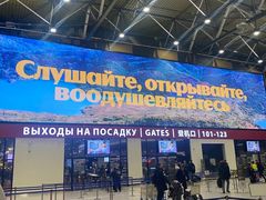 -谢列梅捷沃国际机场