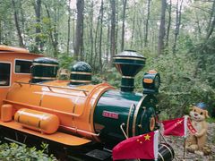 -合肥滨湖国家森林公园