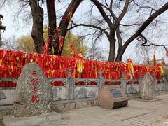 -大槐树寻根祭祖园