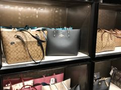 -COACH蔻驰(赛特奥特莱斯店)