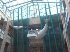 门面-大族广场Mall&More