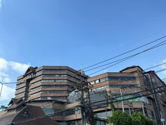 -大象粑粑造纸公园