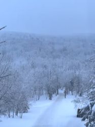 -大秃顶子山