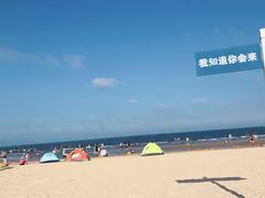 -日照海滨国家森林公园