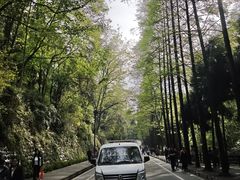 -青城山