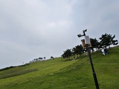 -小麦岛公园