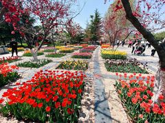 -石家庄市植物园