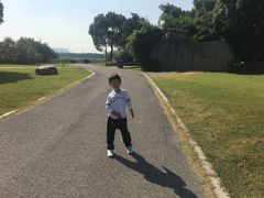 一进大门的巨石上写的荷塘月色-荷塘月色湿地公园·向阳花洲