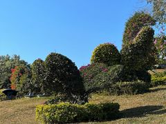 -东莞植物园