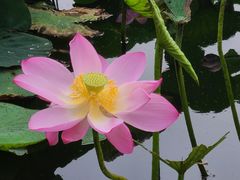 -长春市南湖公园