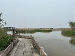 -宁波杭州湾国家湿地公园