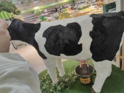-丽家宝贝总部基地(金业大街店)