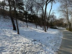 -元大都城垣遗址公园