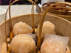 -金鼎轩(方庄天坛店)