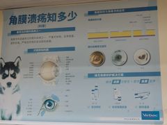 -瑞派康怡24h宠物医院·犬猫医疗中心·微创绝育(瑞景分院)