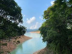 -广州市流溪河国家森林公园