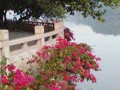 -广州国际生物岛