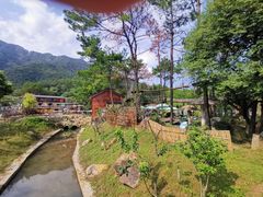 -牛鱼嘴原始生态风景区