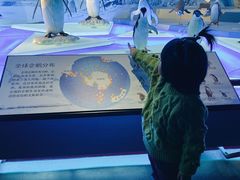 -贝林大翅鲸简餐厅(国家海洋博物馆店)