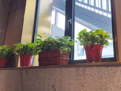 -南门四季铜锅涮肉(大屯·北苑店)