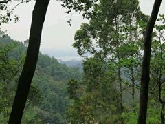 android_upload_pic-三门江国家森林公园