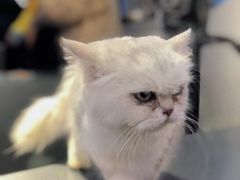-极木²邸 人与宠物·互动社区