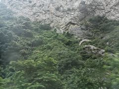 -少华山国家森林公园
