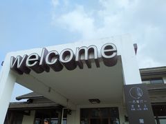 -大塘金香草谷